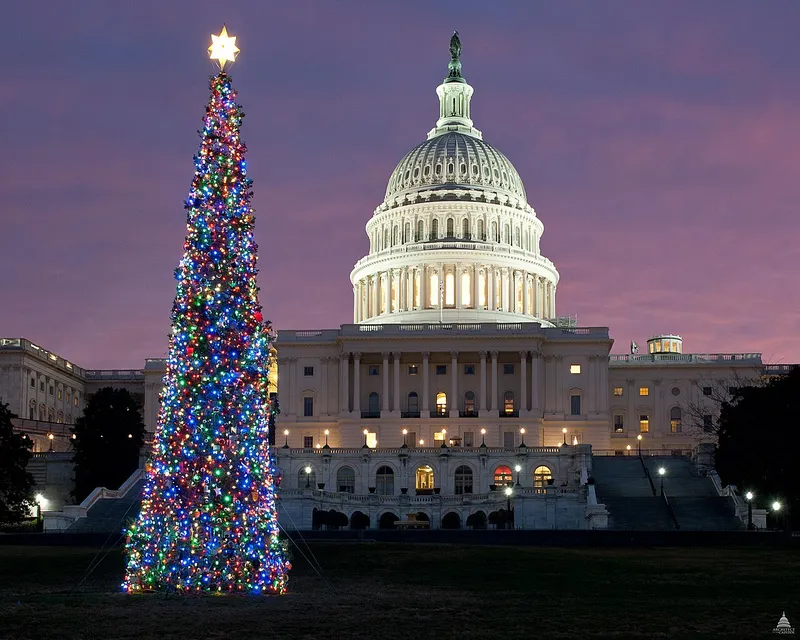 The 2011 U.S. Capitol Christmas Tree lit up at night on the West Front Lawn of the Capitol
